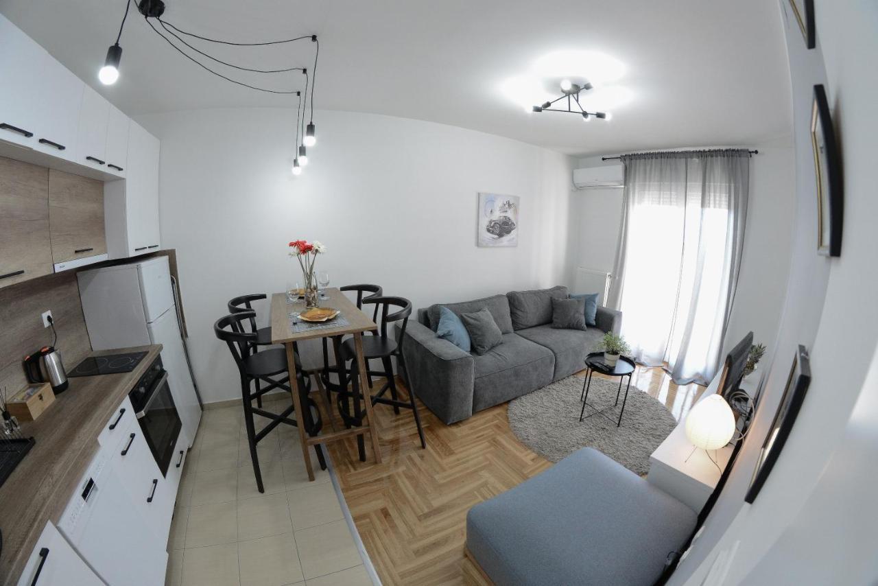 Apartment Dobraya Grey Novi Sad Exteriör bild