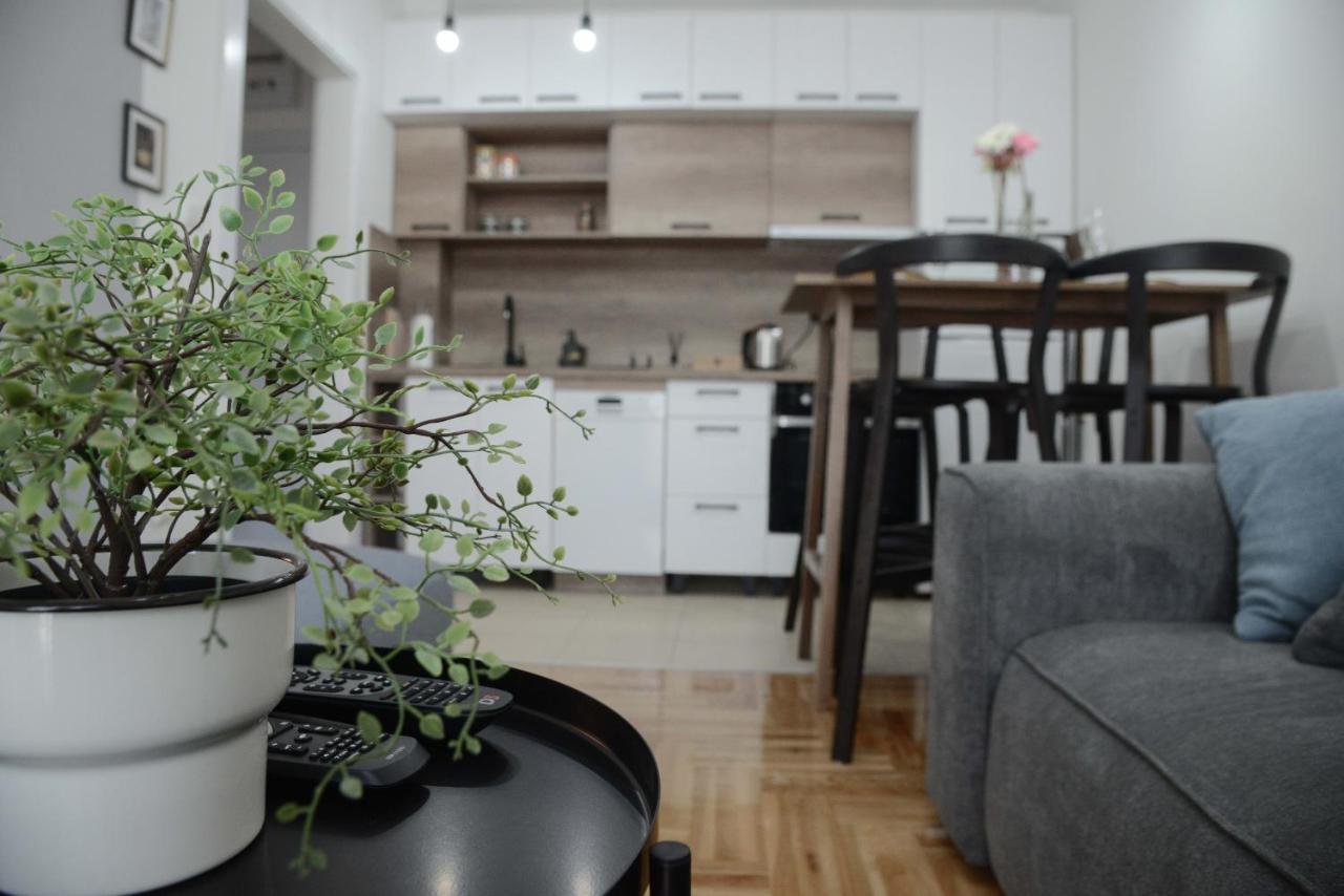 Apartment Dobraya Grey Novi Sad Exteriör bild
