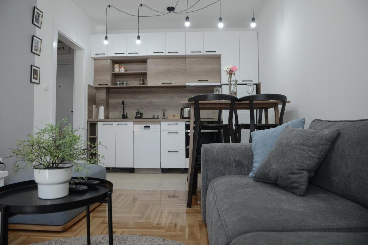 Apartment Dobraya Grey Novi Sad Exteriör bild